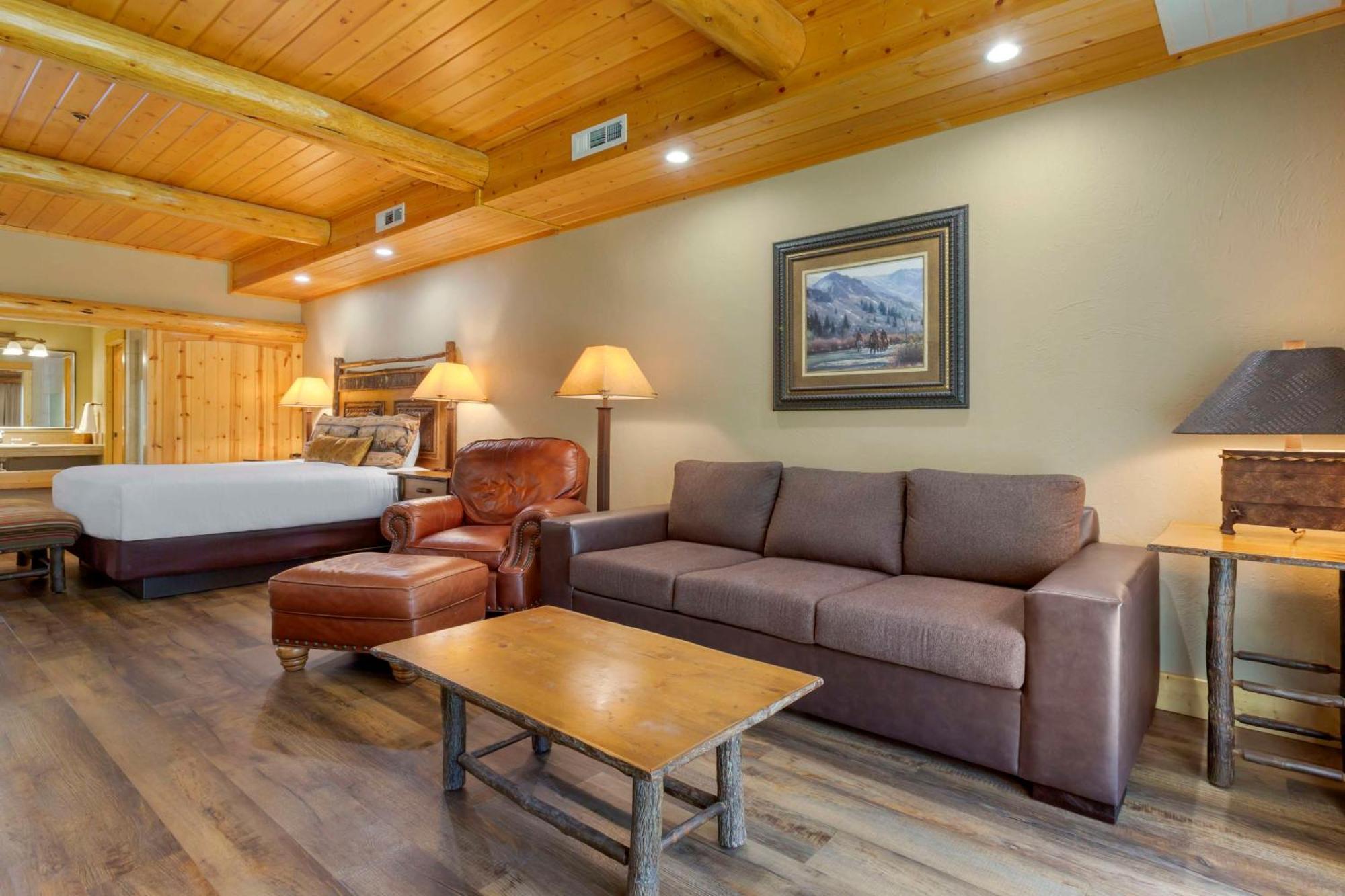 King Suite Sofa Bed Jetted Tub Pet Friendly,1648931133:JPEG